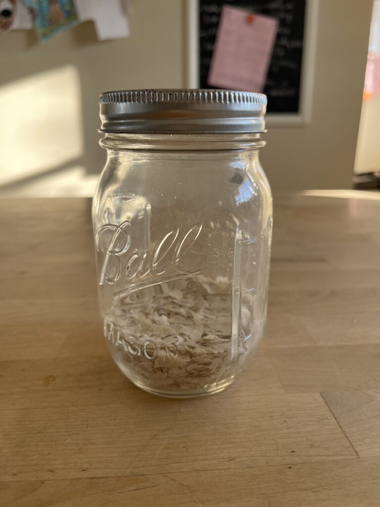 dehydrated sourdough starter