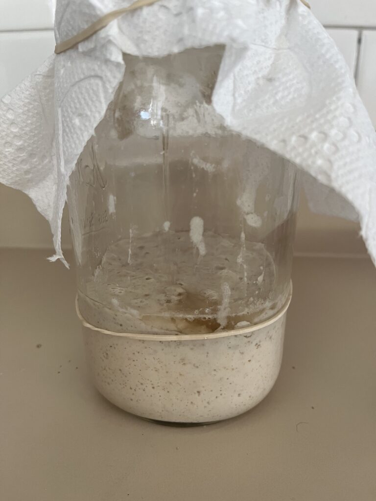 sourdough starter with hooch