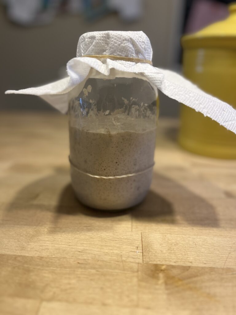 sourdough starter