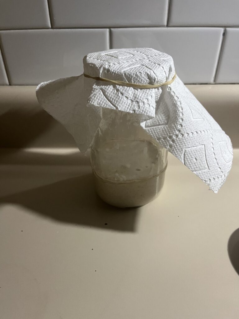 sourdough starter